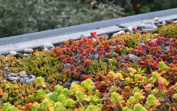 the cost of Lowca green roof installation
